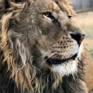 Meet your Posher, Cesar